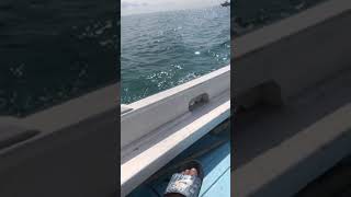 Tekne de sandalda alkollü snap ( alkol story ) deniz de snap