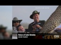 safari