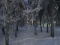 leevi_madetoja
