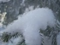 leevi_madetoja