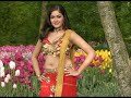 image Meghna Raj Hot Navel In Saree