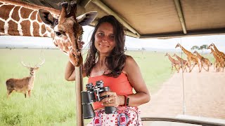 Afrika'da Safari Turu Yapmak - Fiyatlar,hayvanlar,konaklama - TANZANYA