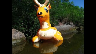 River Deer