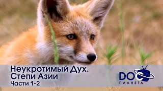 Неукротимый Дух. Степи Азии. Части 1-2 - Документальный Фильм- Сборник