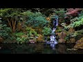 3 Hours Of Best Relaxing Music Bamboo Flute Meditation Spa images 3 Hours Of Best Relaxing Music Bamboo Flute Meditation Spa