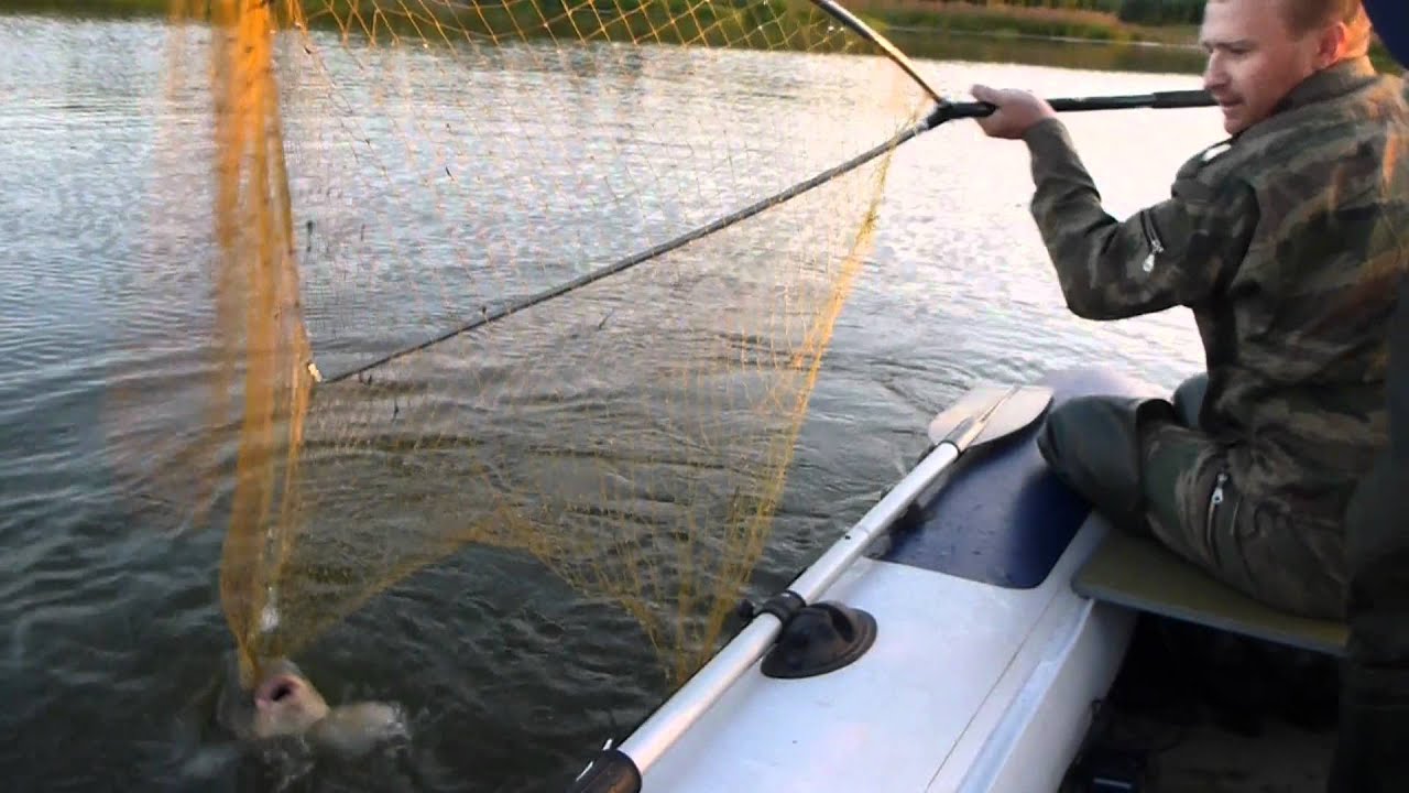 обское море рыбалка на сазана уловистые места обское море рыбалка на сазана уловистые места
