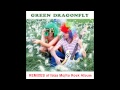 Green Dragonfly - Remixes of Ibiza Mojito Rock alb