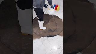 Frozen Solid Carpet Cleaning