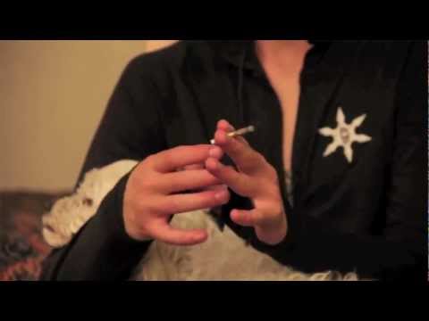 What's Your Deal with David Gravette