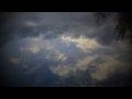 A Lilac Scent Video preview