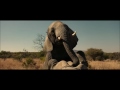 Brothers Grimsby Elephant Scene images Brothers Grimsby Elephant Scene