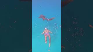 Gitano Del Mar Catamaran San Blas Video By Our Lovely Guests