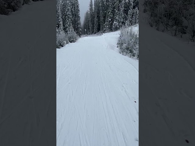 Watch Early 2023 Nordic conditions at SilverStar on YouTube.