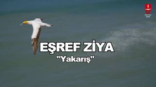 EŞREF ZİYA  \