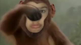 Mememacaco