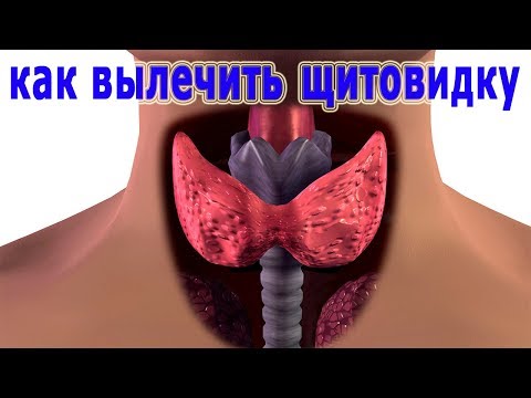 Чём лечить щитовидку в домашних условиях Чём лечить щитовидку в домашних условиях