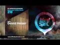 Blind Spot Radio Show 210 | DR HOFFMANN & DAVID MEISER