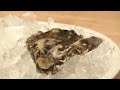 How To Make Oysters Rockefeller
