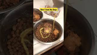 Raw Meat Diet & Dyne For Dogs
