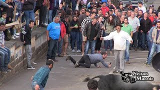 Queda na Tourada à Corda dia 21 de Maio, Ganadaria E.R, Santo Antão 2018, Ilha São Jorge Queda na Tourada à Corda dia 21 de Maio, Ganadaria E.R, Santo Antão 2018, Ilha São Jorge