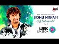 Soft instrumental Sonu Nigam Vol-3 | Jukebox | Kannada Movie Songs instrumental | @AnandAudio