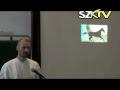 Harcművészet - Az arab akhal lófajta - Zsolnai Gábor