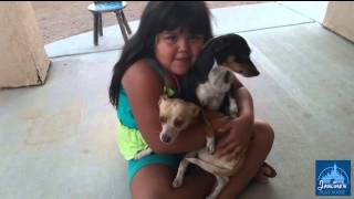 Introducing My Dogs