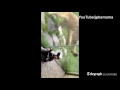 Lion tries in vain to eat small child at Oregon Zoo