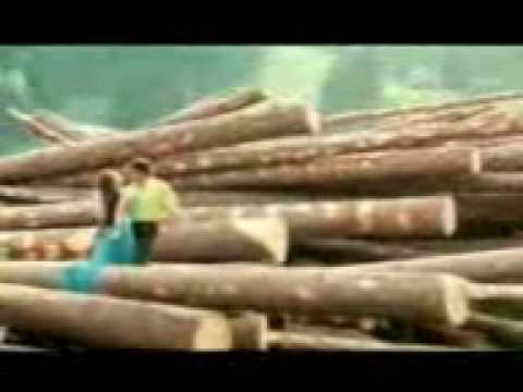 amish dil main dard sa jaga hai.3gp