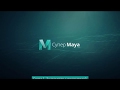 Maya для начинающих. (Команда VideoSmile) Maya для начинающих. (Команда VideoSmile)