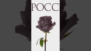 Под Ногами Ее Красные Розы 🌹 #Rap #Macan #Музыка #Xcho #Jony