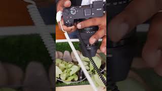 Understanding Heating Issues In Mirrorless Cameras