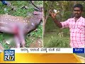 suvarnanews
