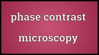Phase contrast microscopy Meaning