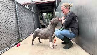 Aunt Bea A273341