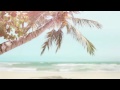 Dunsborough Holiday S Holiday Accommodation Dunsboroug Dunsborough Holiday S Holiday Accommodation Dunsboroug