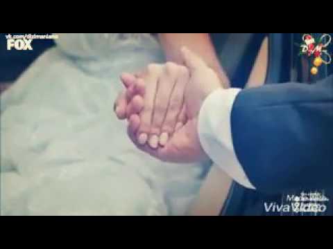 Номер 309 лале беременна 38