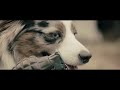 music video