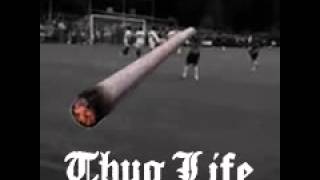 yohqW9Z3CiA Video Image