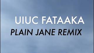 Plain Jane Remix