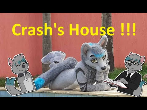 SHOWING THE WOLF DEN!