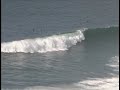 DOLPHINS SURFING SAN DIEGO