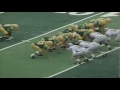 Oregon TE Jeff Thomason 19 yard catch vs. WSU 9-07-1991