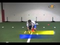 B2C: Baseball Fielding Drills by Top Dog Sports