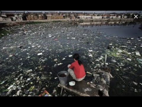 Premiere: China Pollutes Gambia's Water
