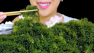 ASMR RAW SEA GRAPES PLATTER  | EXTREMELY CRUNCHY EATING SOUNDS | TracyN ASMR