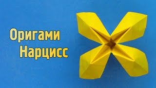 Народные средства от выпадения волос. Маски и отзывы Москитная сетка своими руками ServiceYard-уют вашего дома в