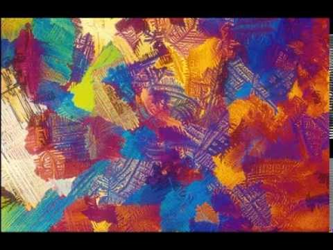 Adaptations (Of The Human Spirit) Video