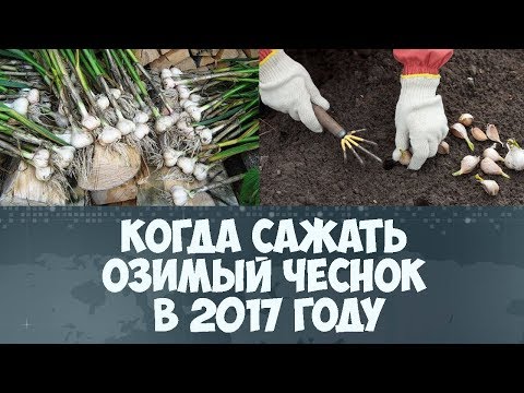 Шумоизоляция своими руками на сузуки гранд витара Шумоизоляция своими руками на сузуки гранд витара