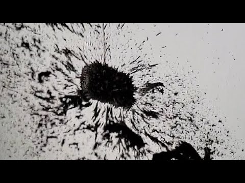 Magnetic Field Lines #shorts